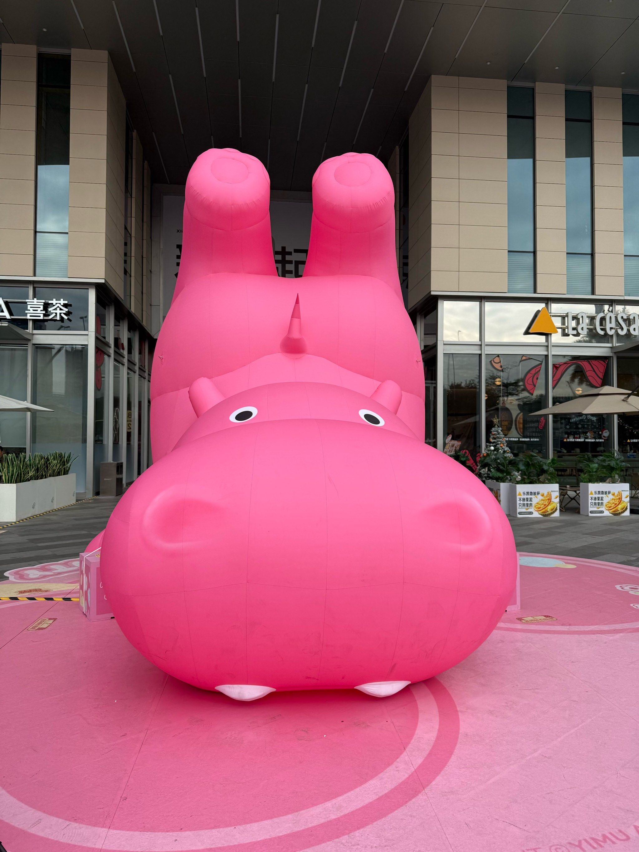 一只粉色小河马