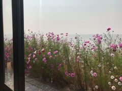 -呼兰河口湿地公园