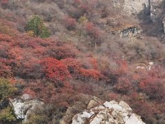 -周口店坡峰岭风景区