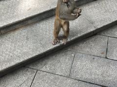 -石燕湖生态旅游景区