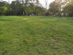 -铁山坪森林公园