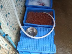 -华哥新鲜猪精品美食