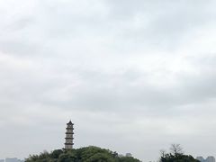 -江心屿景区