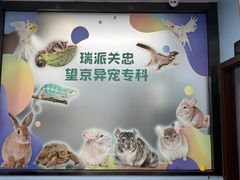 -瑞派·关忠动物医院·异宠专科·犬猫肿瘤·皮肤专科(望京店)