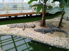 -石家庄市动物园