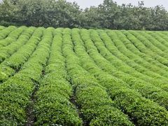 -敬亭山风景名胜区