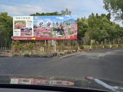 -灵光寺