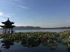 -西湖游船