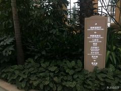 -国信南山温泉