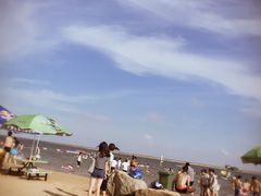 -碧海金沙