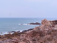 -小麦岛公园