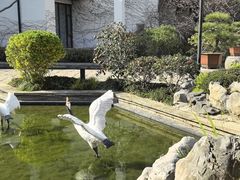 -广富林宰相府酒店·水云间