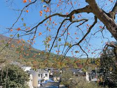 -塔川景区
