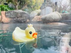 -七彩云南古滇温泉山庄