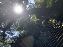 -宁波市保国寺古建筑博物馆