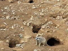 -杭州野生动物世界