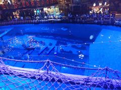 -海合安青岛极地海洋公园