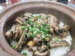 招牌黄鳝煲仔饭-红星光发煲仔饭(大石街店)