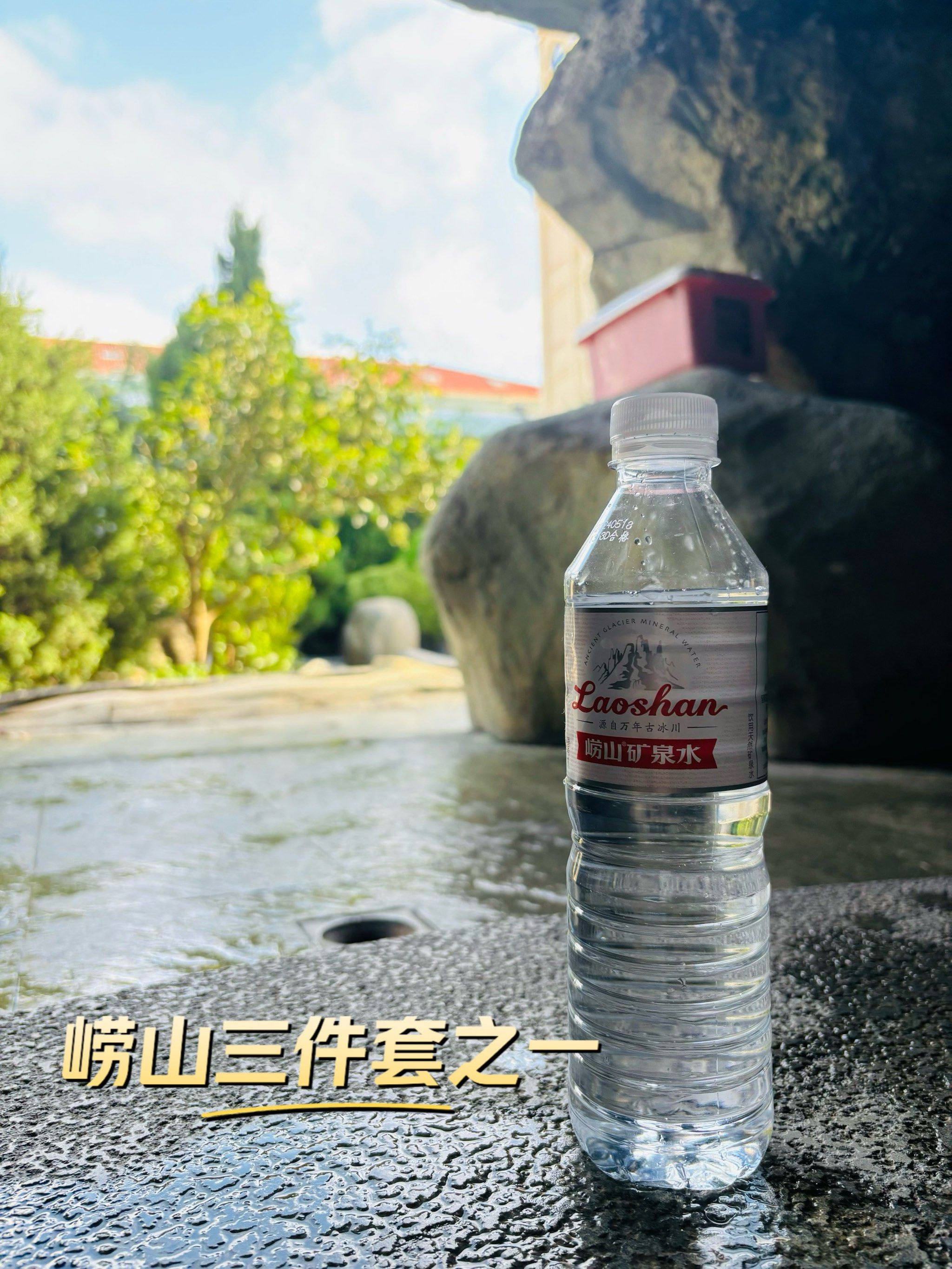 崂山三件套之一