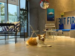 -HALO SOUL COFFEE·咖啡·甜品·简餐(嘉年华海信广场店)