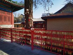 -天津大悲禅院