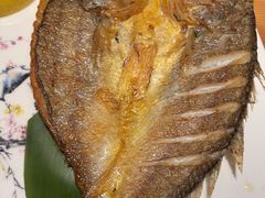 -原志优秀食材·匠心料理·海胆主题(金亿广场店)
