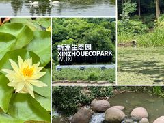 -新洲生态园