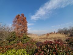 -南京枫彩漫城