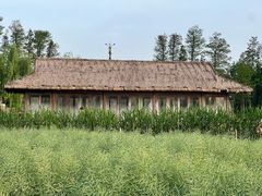 -乌村