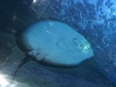 -常州海昌海洋探索馆