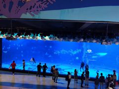 -烟台海昌鲸鲨海洋公园