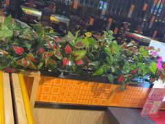 -四季喧黔味豆米火锅(万达广场店)