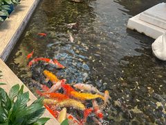 -广州白天鹅宾馆