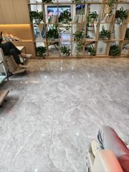 -碧莲盛·不剃发植发