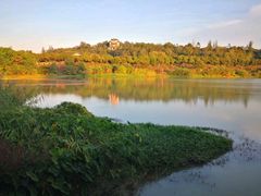 -广东花都湖国家湿地公园