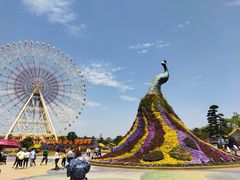 -七彩云南欢乐世界