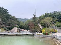-景山公园