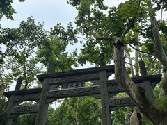 -杭州黄龙洞
