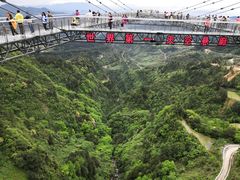 -梦幻奥陶纪景区
