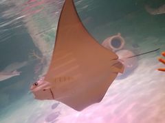 -沈阳海洋探索中心