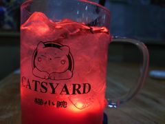 -猫小院猫主题餐厅(南锣旗舰店)