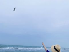 -月坨岛华清月府温泉酒店