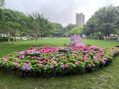 -常州古运河南大街文化旅游区-人民公园