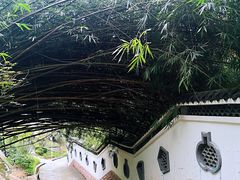-关岳庙
