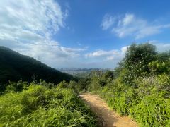 -马峦山郊野公园