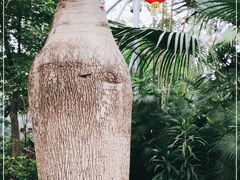 -北京植物园-展览温室