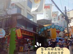 -猫咪博物馆(顶澳仔猫街店)