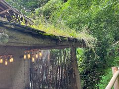 -悠然山高山湿地景区悠然自得庭
