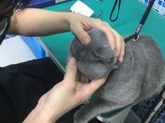 -美联众合爱康动物医院•复杂内科•肿瘤科•牙科•腔镜诊疗中心