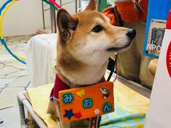 -阪急百货店(梅田总店)